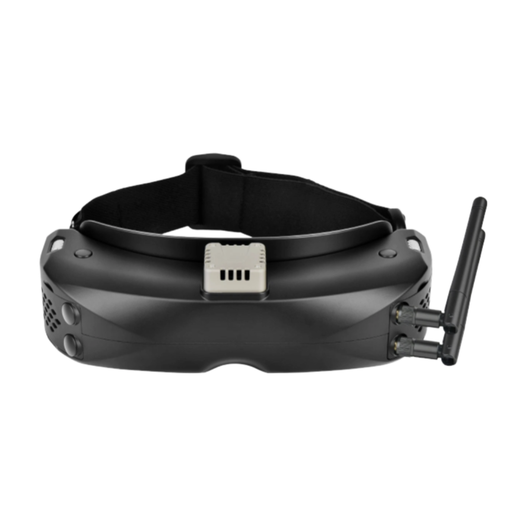 FPV Goggles