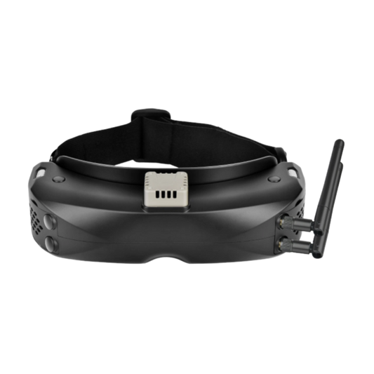 FPV Goggles